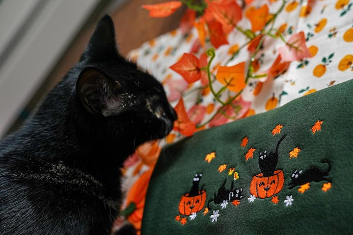 Halloween Black Cat Embroidered Sweatshirt
